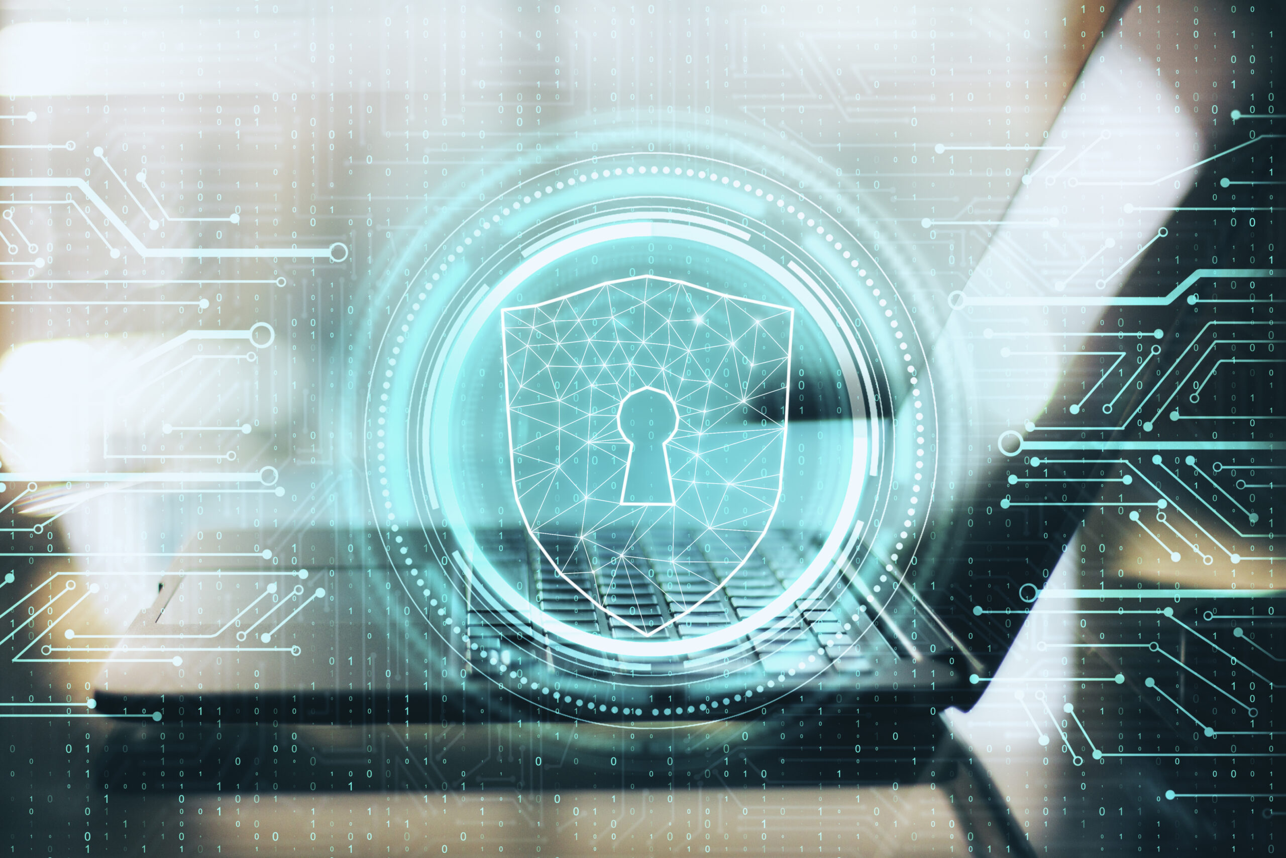 Cybersecurity Basics